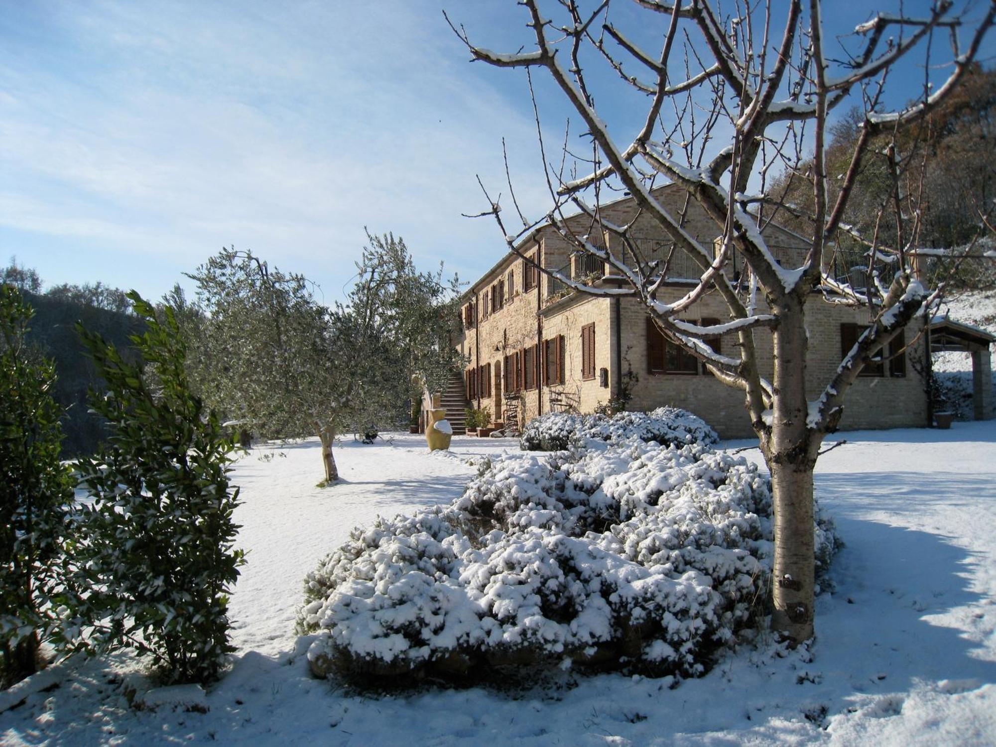 Montefiore dellʼAsoCasa Delle Sorgenti公寓 外观 照片